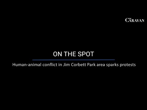 On the spot: Human-animal conflict in Jim Corbett Park area sparks protests  | The Caravan