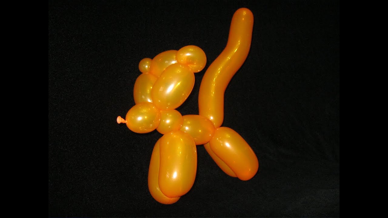 How to make a balloon Tiger with one 260q