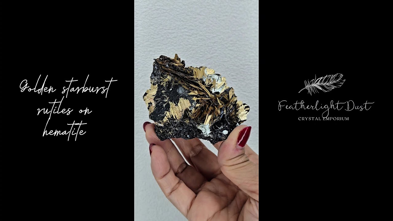 Golden exposed starburst rutiles on black hematite - RT288