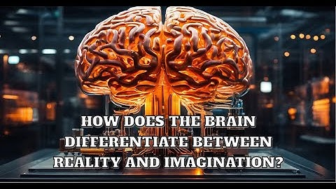 How does the brain differentiate between reality and imagination?