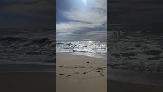 Relaxing by the beach 🏖️ 🧘 #pacificocean#wavesounds