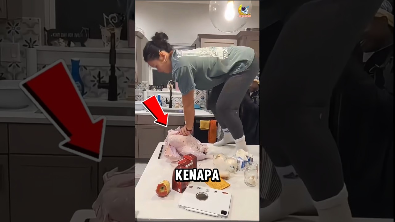 Kenapa Kalkun Didudukin?! #faktaunik #shortsviral #videoviral