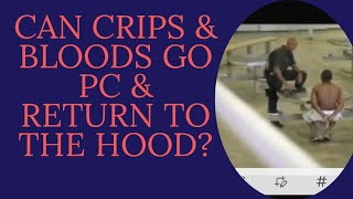 CAN CRIPS &amp; BLOODS GO PC &amp; RETURN TO THE HOOD??