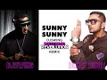 Sunny sunny  djswing bollywood revolution remix