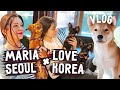 Подруга из Сеула и 5 собак, не считая кота )) KOREA VLOG