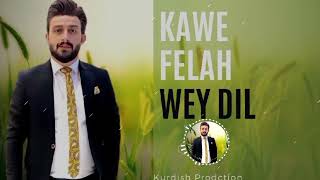 Kawe Felah Wey Dil 2025