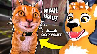 Zostałem Kotkiem, Którego Adoptowała Babcia Copycat