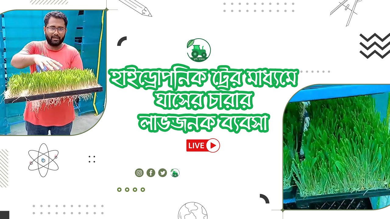 video হাইড্রপনিক ট্রে