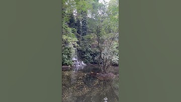 The beauty of nature - Sri Lanka 🇱🇰🇱🇰