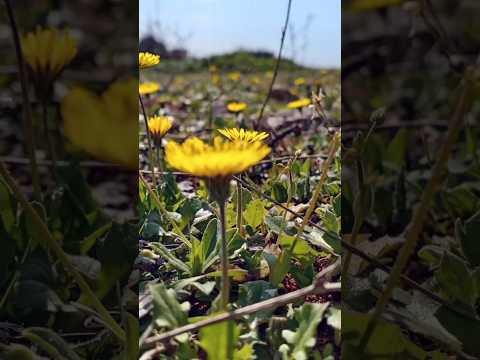 همم ستملأ جيلنا إساعدا