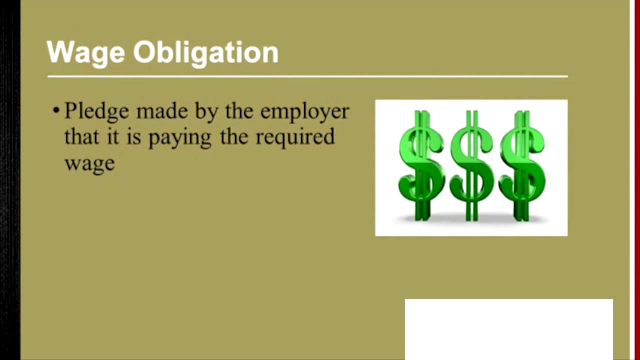 US Visas H1B Visas