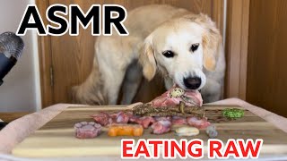 ASMR DOG EATING RAW FOOD - SATISFYING CRUNCHING SOUNDS!