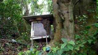 20100317_moveHome.AVI