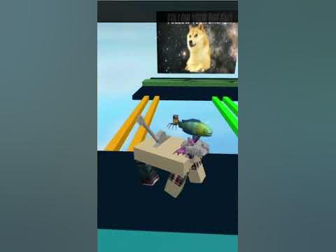 карта: препятствия для собак - YouTube