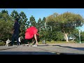 Coba-Coba Bikin Video