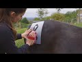 Video: Brushing Union Flag