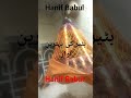 batair ki awaaz/quail bird best sound s/batair ki awaaz din k lie