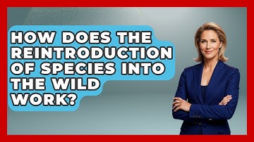 How Does the Reintroduction of Species into the Wild Work? | The Wild Life Explorer