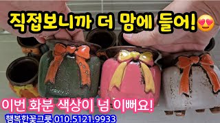 너무너무 마음에 드는 색상! 직접 만나보면 더 만족하는 화분행복한꽃그릇 010.5121.9933 언박싱