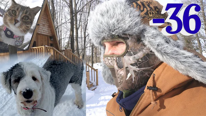 Surviving Farmlife in Extreme Winter Weather