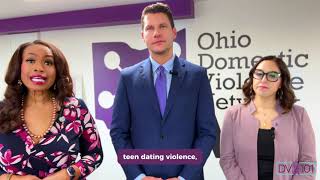 Introducing Domestic Violence 101