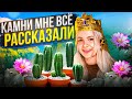 СХАВАЛА МЕСКАЛИНОВЫЙ КАКТУС🌵, поговорила с камнями, поплакалась горам..трип репорт крч, ПЕРУ