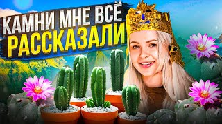 СХАВАЛА МЕСКАЛИНОВЫЙ КАКТУС🌵, поговорила с камнями, поплакалась горам..трип репорт крч, ПЕРУ