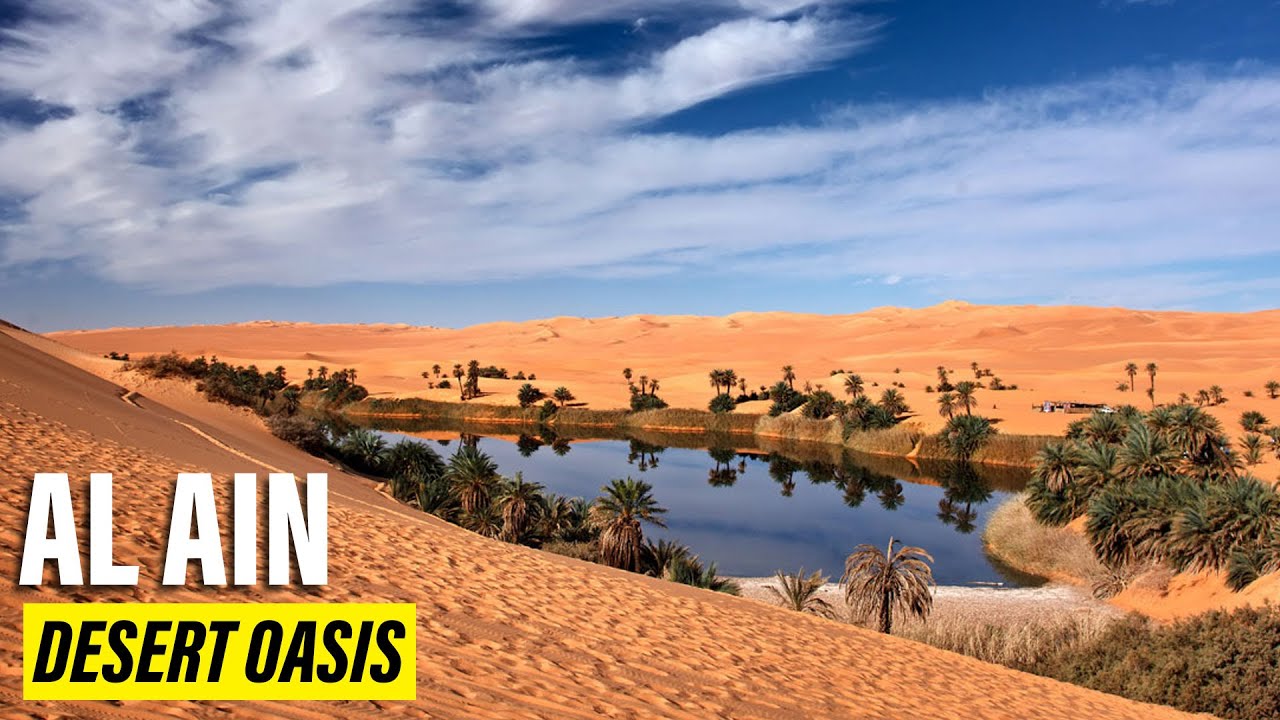 🌵 Al Ain Oasis: The Hidden Lush Oasis in UAE's Harsh Desert 🌸 - YouTube