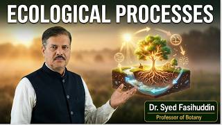 Ecosystem: Structure and Functions | Components, Energy Flow, Food Chains & Ecological Processes