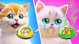 Digital Circus VS Alphabet Lore *I Saved A Homeless Tiny Cat*