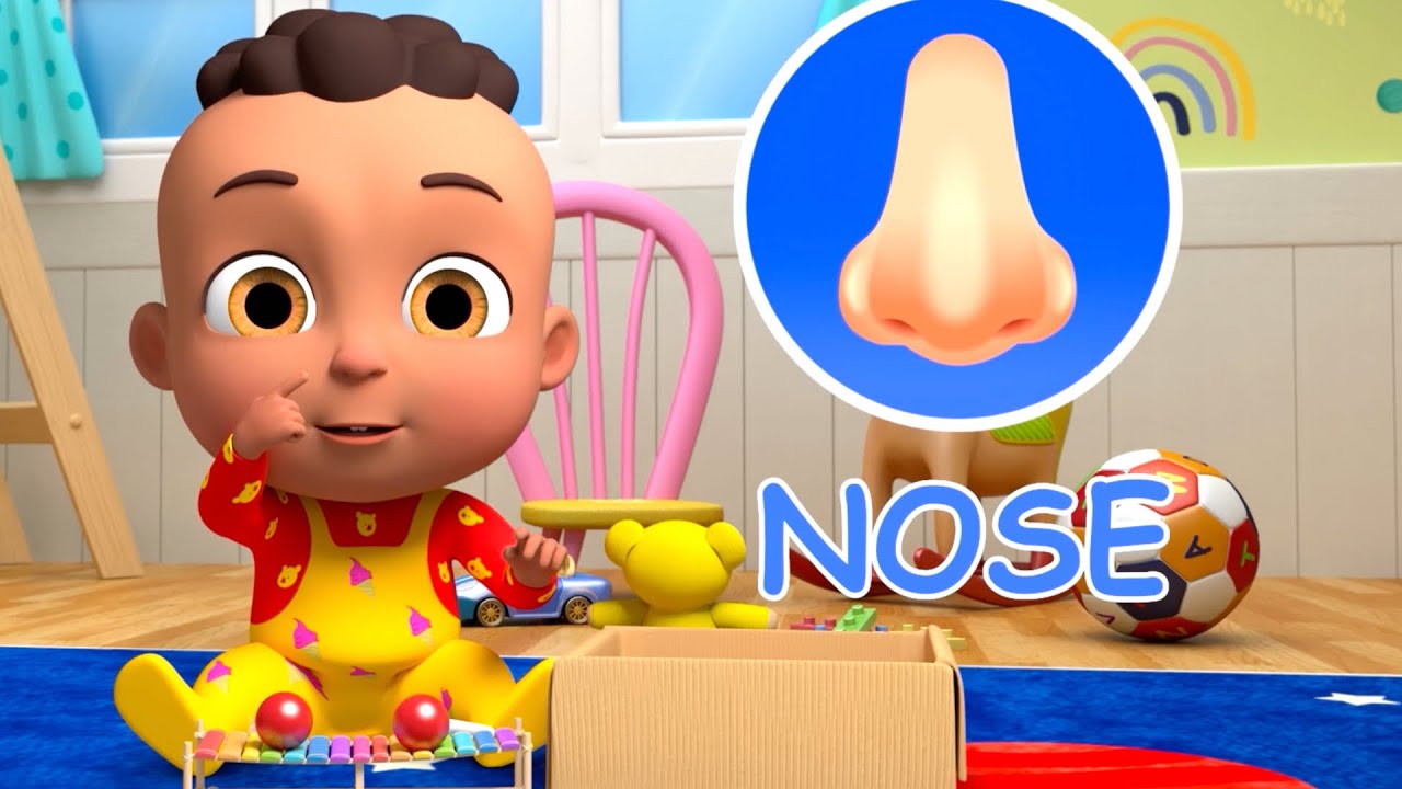 Sensory Body Parts Episode Bobo's World Learning Series Educational