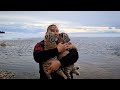 Тигрята На Байкале /Tiger Cubs on Baikal lake