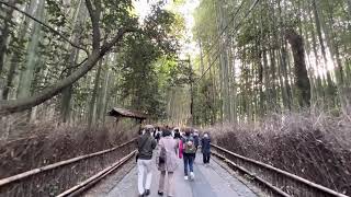 〚4K〛iPhone13 Pro　Walk around Arashiyama, Kyoto, Sep-2021　京都 嵐山周辺を街歩き