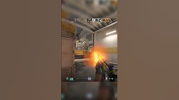 the best gun in cs2 #counterstrike #cs2 #csgo #csgomoments #estonia #xm1014 #clutch #funny