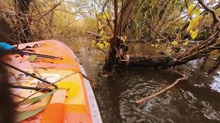River Loddon Paddleboard From Winnersh To Wargrave