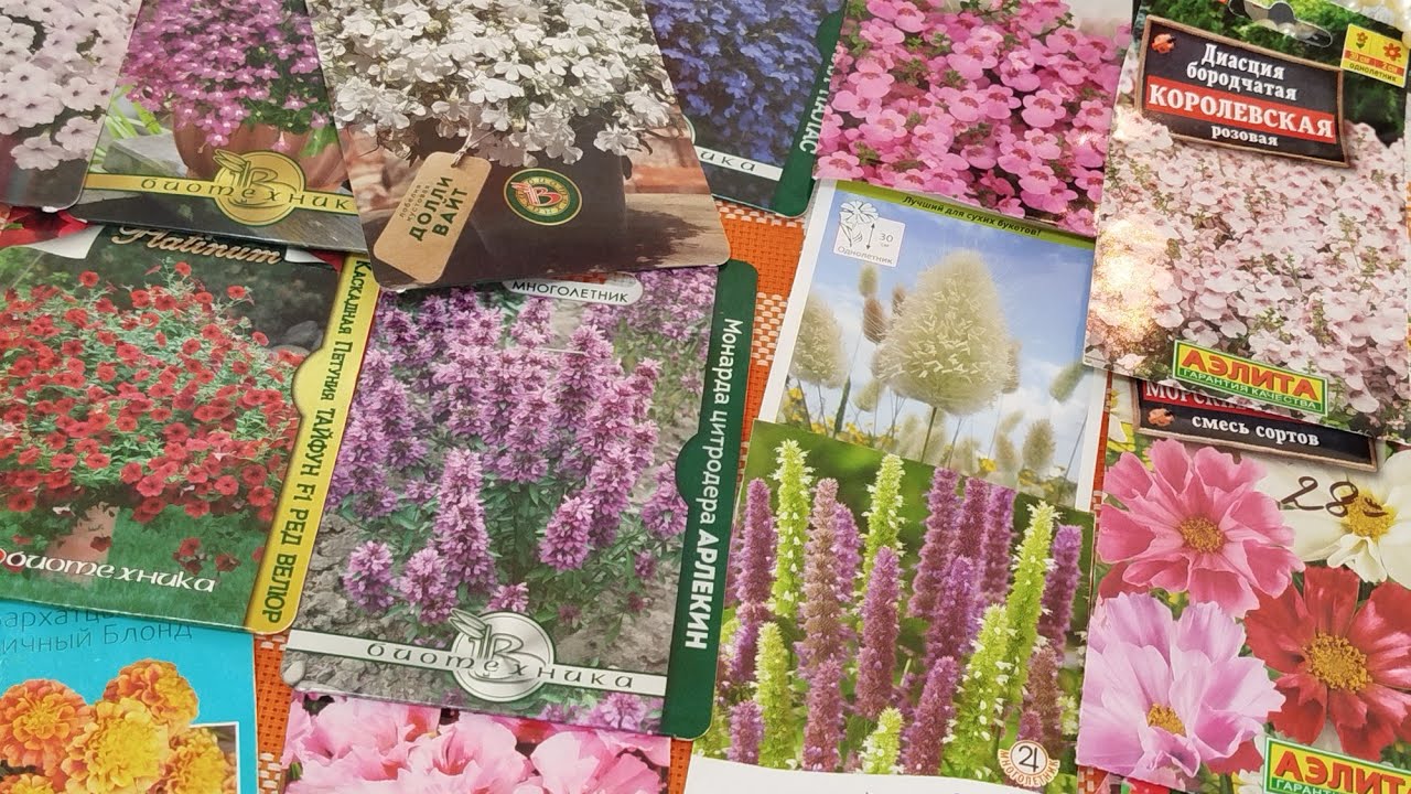 Какие цветы посажу в северном саду// Что планирую в саду в этом сезоне//