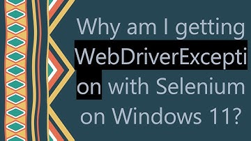 Why am I getting WebDriverException with Selenium on Windows 11?