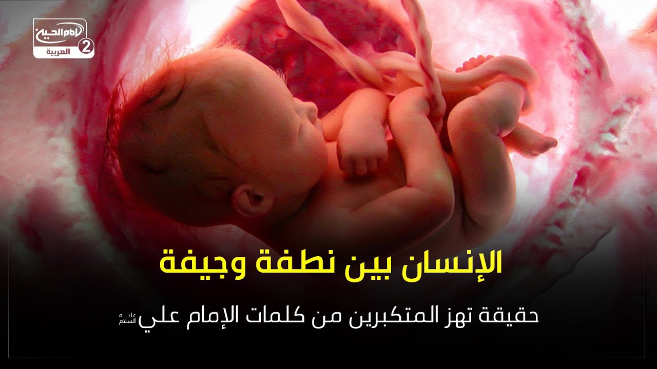 الإنسان بين نطفة وجيفة - حقيقة تهز المتكبرين من كلمات الإمام علي عليه ...