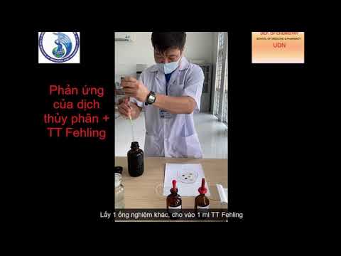 Video: Điều gì đã gây ra các bong bóng khi bạn thêm catalase?