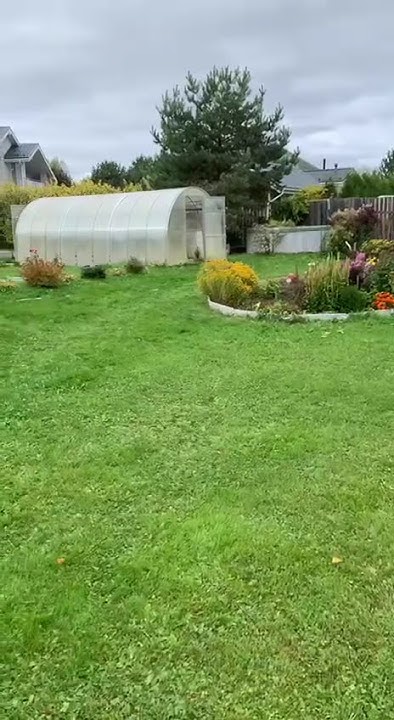youtube.com