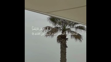 سورة طه | آيات قصيرة