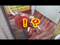 【遊び】友達が確率機をやっている所を撮影していたら…！？