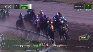 Vidéo de la course PMU PREMIO ZADAR HANDICAP