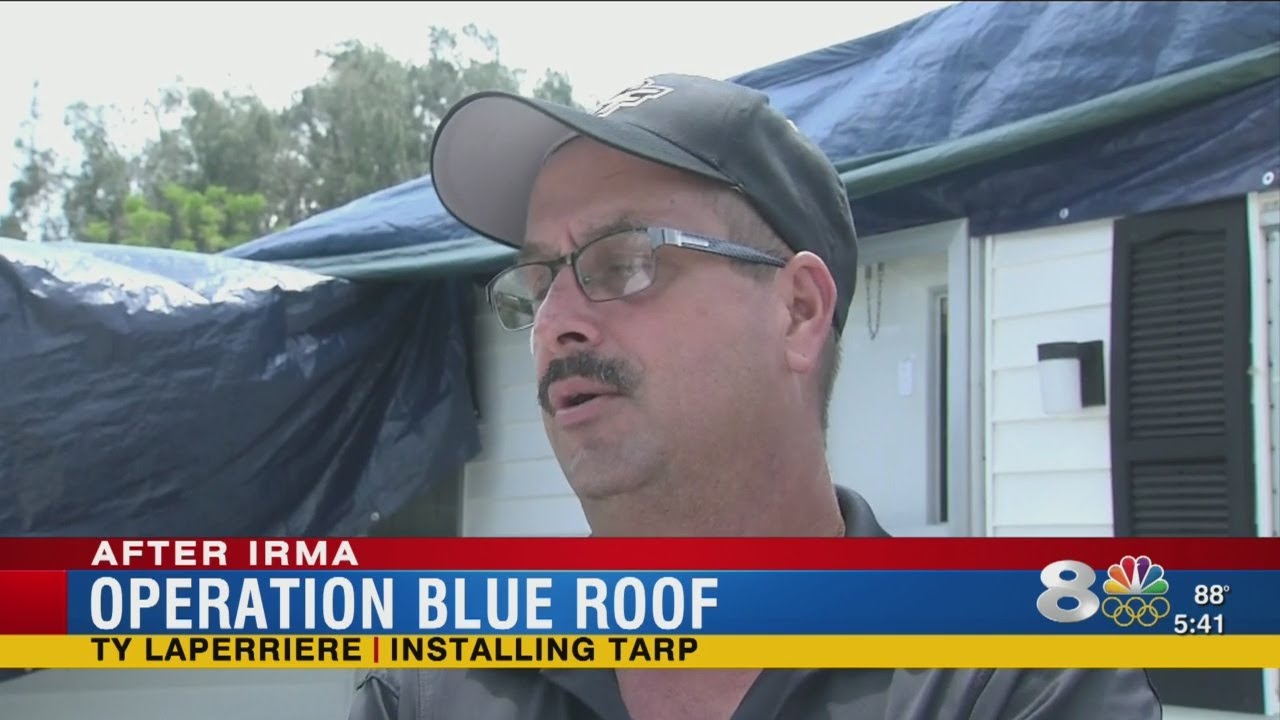 Blue Roof