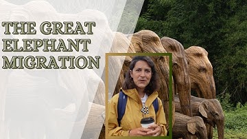 The Great Elephant Migration: From India to America