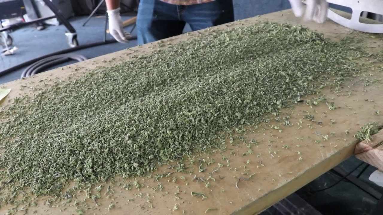 2018 harvest smallsYouTube