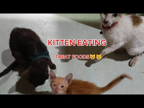 Mag papakain na naman ng mga batuta😼😼