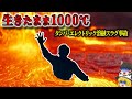 【2017年】『いま焼かれているの…』幸せ絶頂の男性が1000℃の溶岩の海に…地獄のような苦しみが襲った最悪の労災事故「タンパ・エレクトリック溶融スラグ事故」【ゆっくり解説】