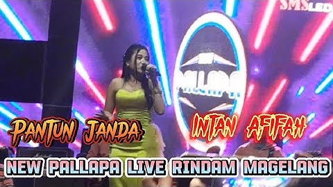 PANTUN JANDA intan afifah new pallapa live rindam magelang #newpallapa #dhehan_audio  #magelang