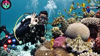 Rindu Rasulku | Sholawat Islami Penuh Haru & Syahdu